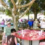 article image - 